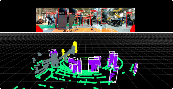 Environmental Perception